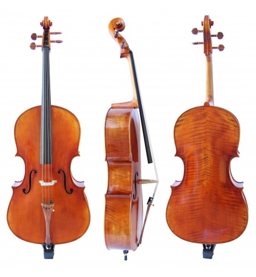 Professional Cello FPVC03M